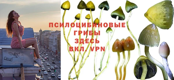синтетический гашиш Белоозёрский