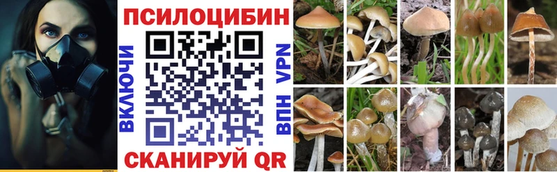 Псилоцибиновые грибы Cubensis Мариинск
